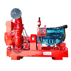 12 inch Special Edition