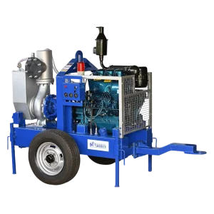 6 inch Special Edition