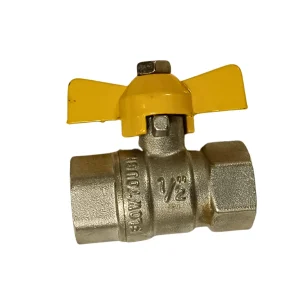 Half Inch Valve