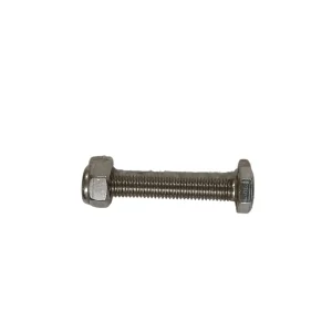 SS Bolt Nut